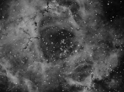 Rosete Nebula and the NGC 2244 open cluster