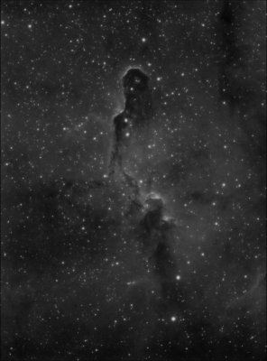 IC 1396. The elephant's trunk nebula