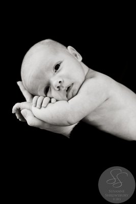 2011-Newborn-05.jpg