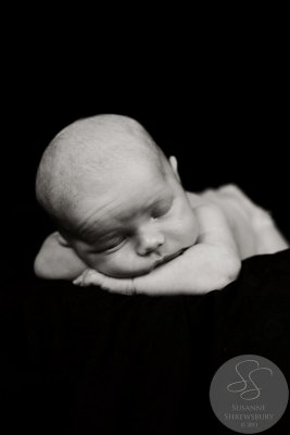 2011-Newborn-06.jpg