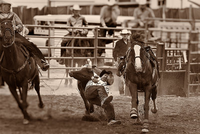 Cowboy's 2011