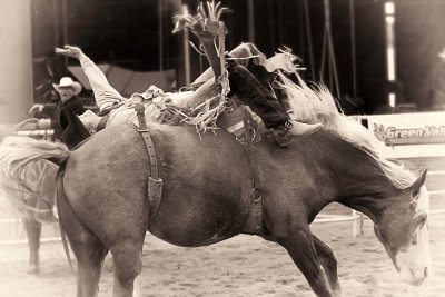 Cowboy's 2011