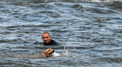 Le meilleur ami du nageur / The best friend of the swimmer