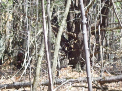 100_0784.JPG