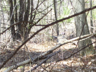 100_0793.JPG