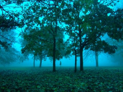Fog