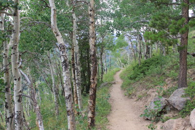 Trail from Bierstadt Lake