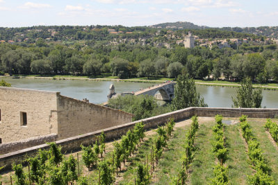 IMG_3510.jpg Avignon