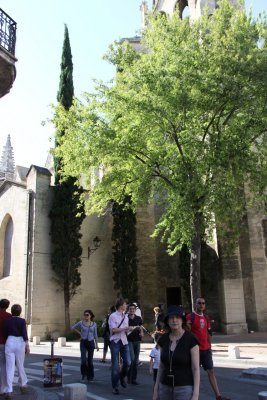 IMG_3556.jpg Avignon