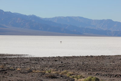 Death Valley, February 2011