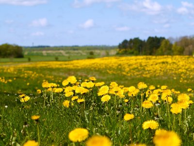 Nature, Denmark