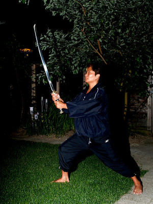 2006-06-21 Ninja