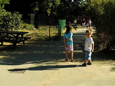 2006-07-20 Long shadows