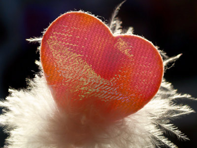 Heart and feathers