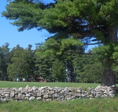 Dry Stone Wall.jpg