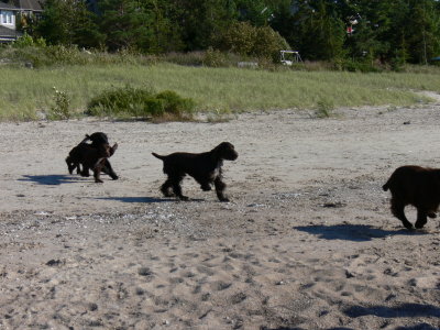 P1010644.JPG