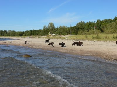 P1010651.JPG