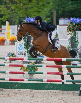 horseshows_by_the_bay_2011
