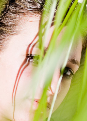 In the brush_RL32910-Edit.jpg