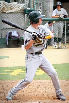 P_5278.jpg