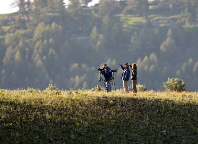 Wolf Watchers