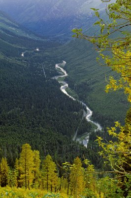 View of the river heading to Lake Macdonald