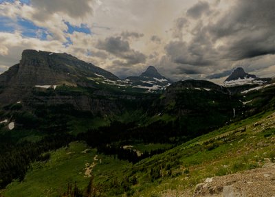 Afternoon light on the East side of Logan Pass