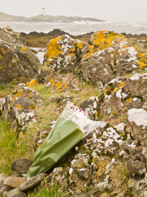 Flowers on the coast