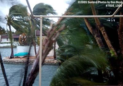 Lake Mary in Miami Lakes during Hurricane Wilma photo #7016