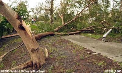 Hurricane Wilma Damage in Miami Lakes Stock Photos Gallery