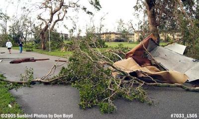 Trees and back patio roof on Big Cypress Drive after Hurricane Wilma photo #7033