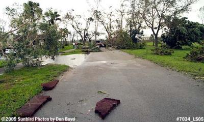 Big Cypress Drive in Miami Lakes after Hurricane Wilma photo #7034