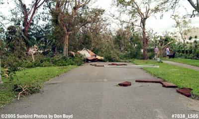 Tree and patio roof debris caused by Hurricane Wilma in Miami Lakes photo #7038