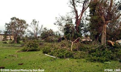 Various types of tree debris on the Par 3 Golf Course in Miami Lakes phtoo #7040
