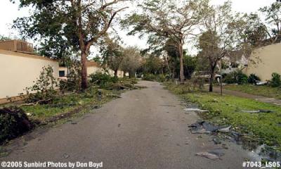 Tree and roof damage debris on Big Cypress Drive photo #7043