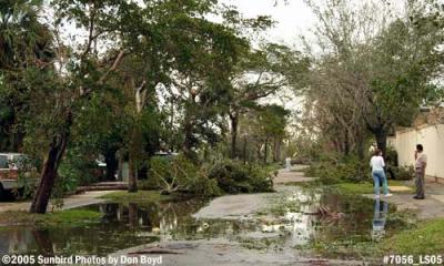 Big Cypress Drive after Hurricane Wilma photo #7056