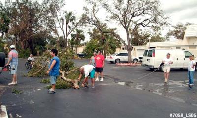 Neighbors pitching in to remove tree debris photo #7058