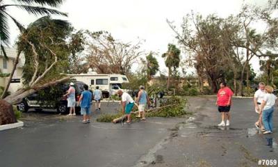 Neighbors pitching in to remove tree debris after Hurricane Wilma photo #7059