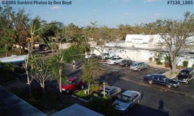 Big Cypress Drive in Miami Lakes after Hurricane Wilma photo #7130