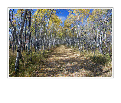 White Butte Walking Trails