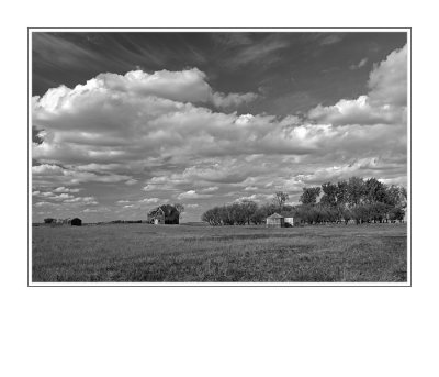 Abandoned Farmyard