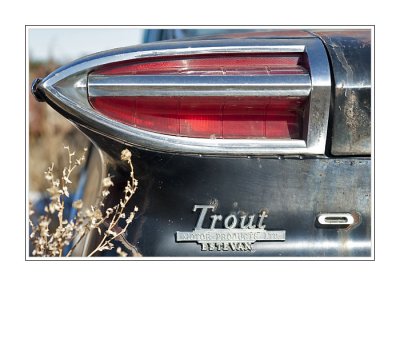 Oldsmobile Taillight