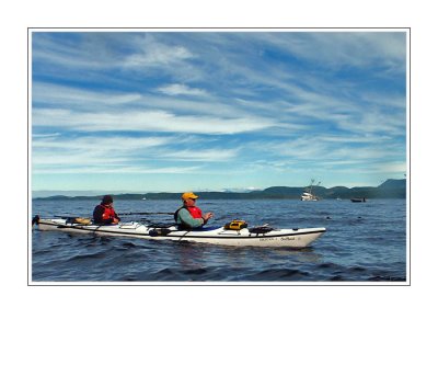 Kayaking In The Johnstone Strait