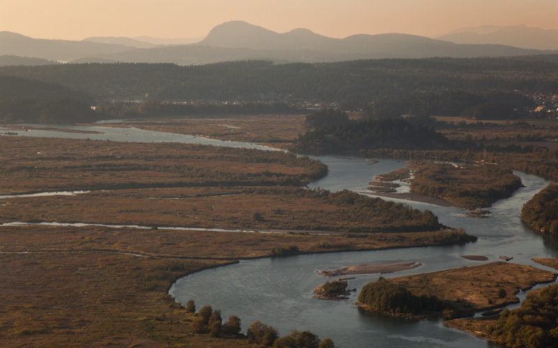 Skagit101511-135-4.jpg