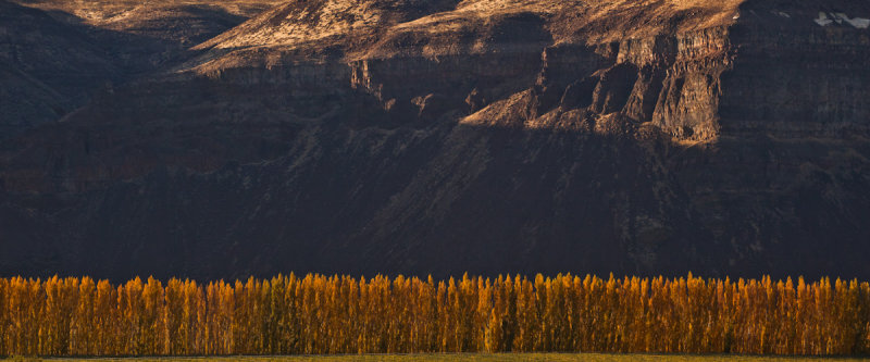 Poplars & Cliffs <br> (T3_102911-236-5.jpg)