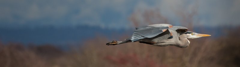 BdryBay2_021112-35-21.jpg