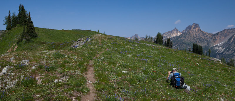 Photographing Flowers, Maple Pass Loop Trail <br> (MaplePass_081112-175-1.jpg)