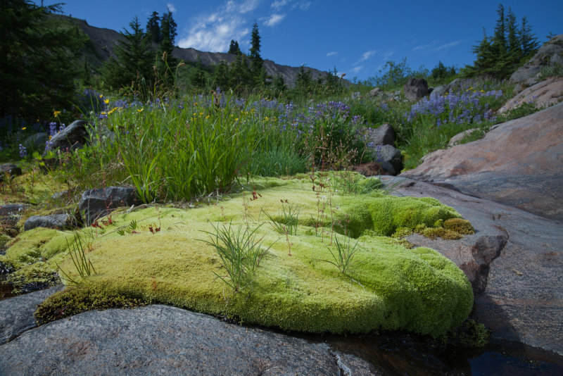 SPaulTr_082012-459-4.jpg