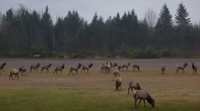 ConcAirprt121011-257-4.jpg