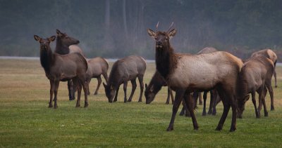 ConcAirprt121011-236-3.jpg